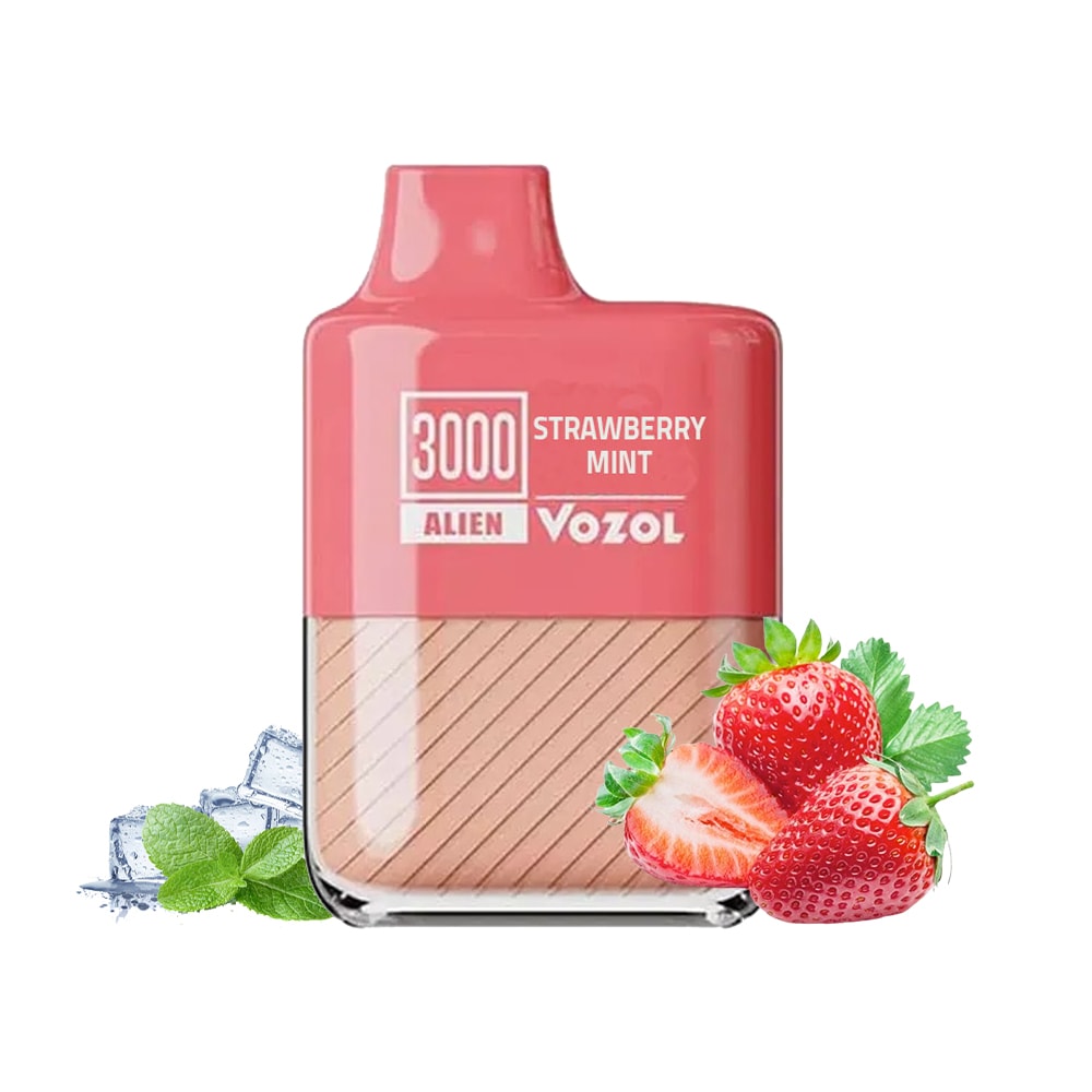 VOZOL STRAWBERRY MINT 20MG 3000PUFFS 