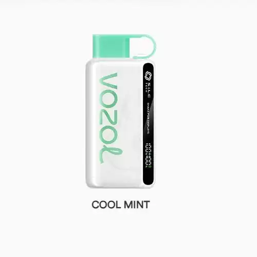 VOZOL STAR COOL MINT 12000 PUFFS 20MG 