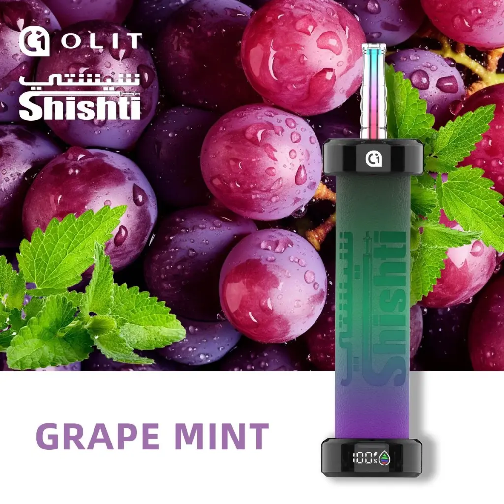 SHISHTI 30K PUFFS GRAPE MINT 3MG 